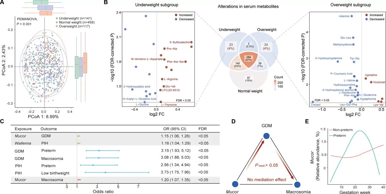 Figure 6. Distinctive metabolic changes stratified by prepregnancy overweight status and the clinical signifi